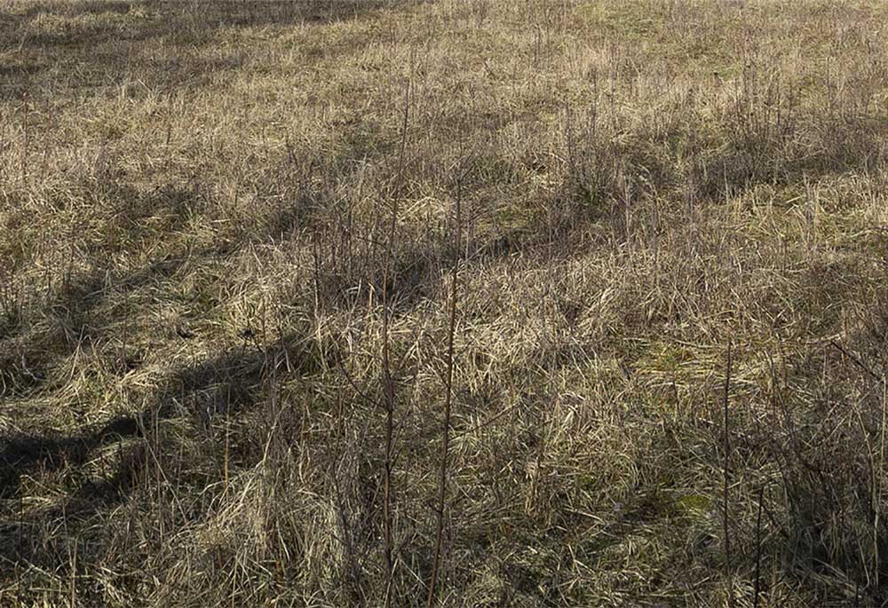 in het voorbijgaan | triptiek I | midden | fine art print | 2024 | 30x20 cm