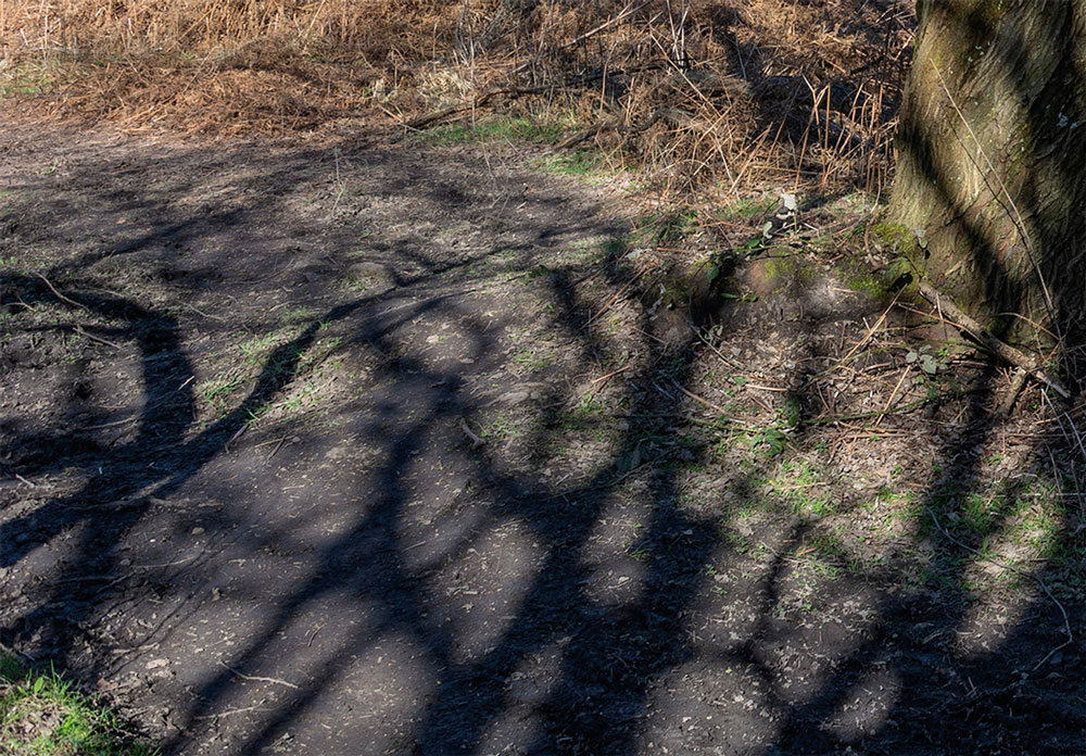 in het voorbijgaan | triptiek II | links | fine art print | 2024 | 30x20 cm