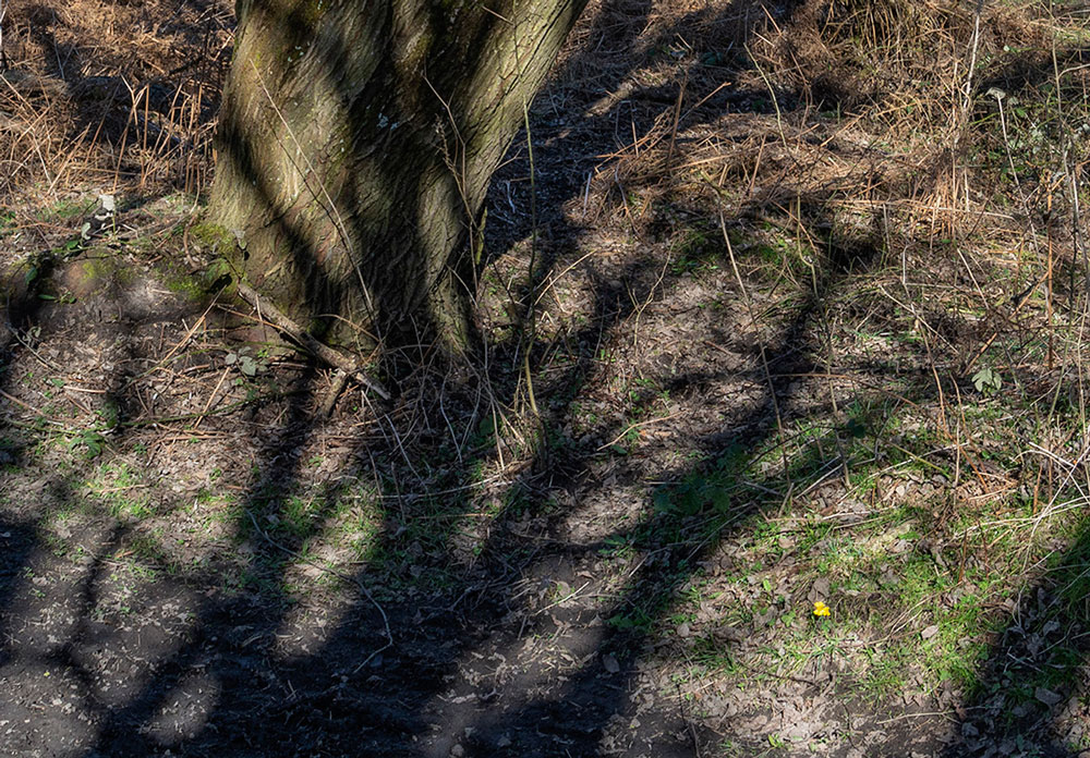 in het voorbijgaan | triptiek II | midden | fine art print | 2024 | 30x20 cm