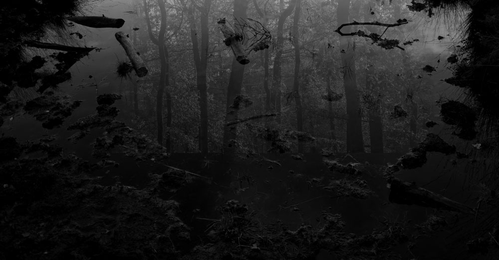 verschijning | 2020 | fine art print A/P | 45x20 cm 