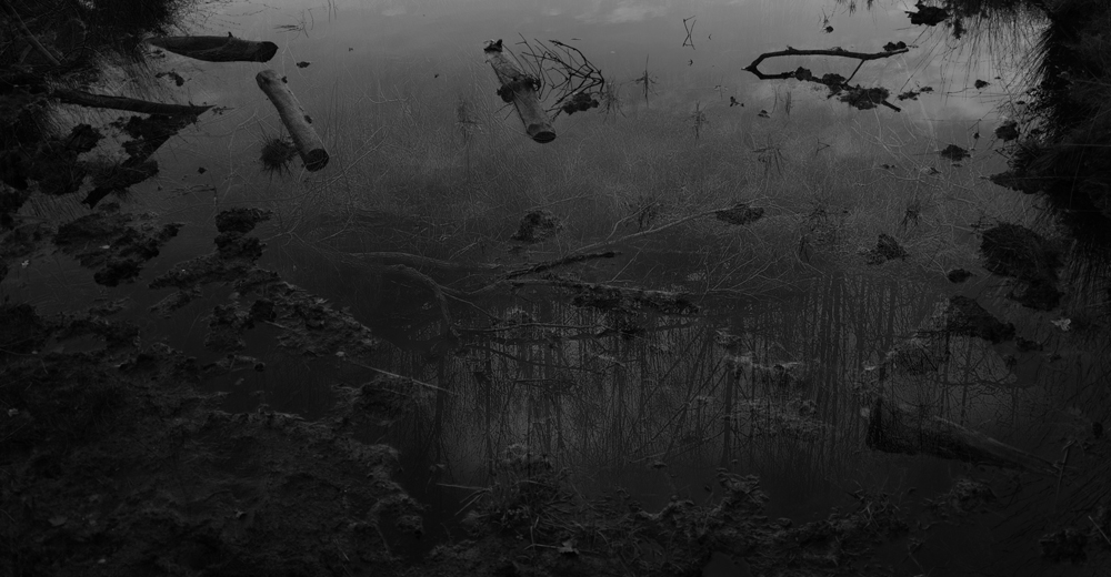 verschijning-2 | 2020 | fine art print A/P | 45x20 cm 