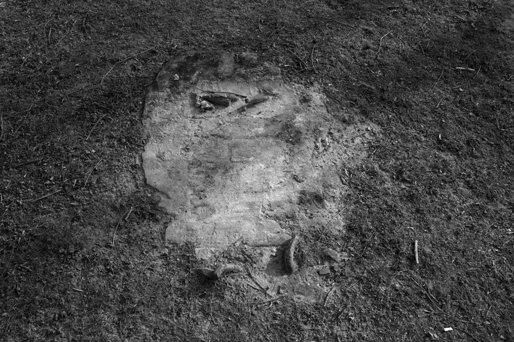 sporen en tekens 1 | 2026 | fine art print | 45 x 30cm