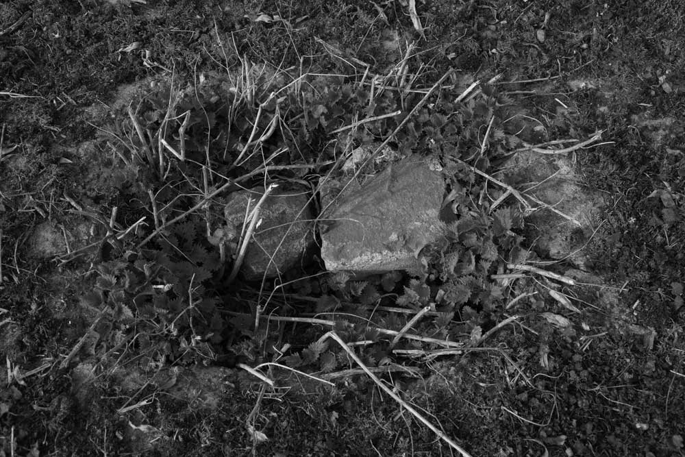 sporen en tekens 2 | 2026 | fine art print | 45 x 30cm