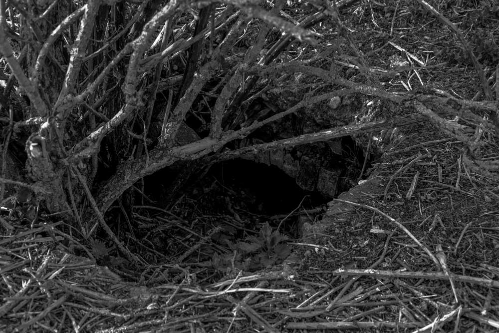 sporen en tekens 6 | 2026 | fine art print | 45 x 30cm